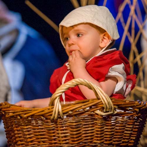 Ars 2015 Tekoaphotos 4gd