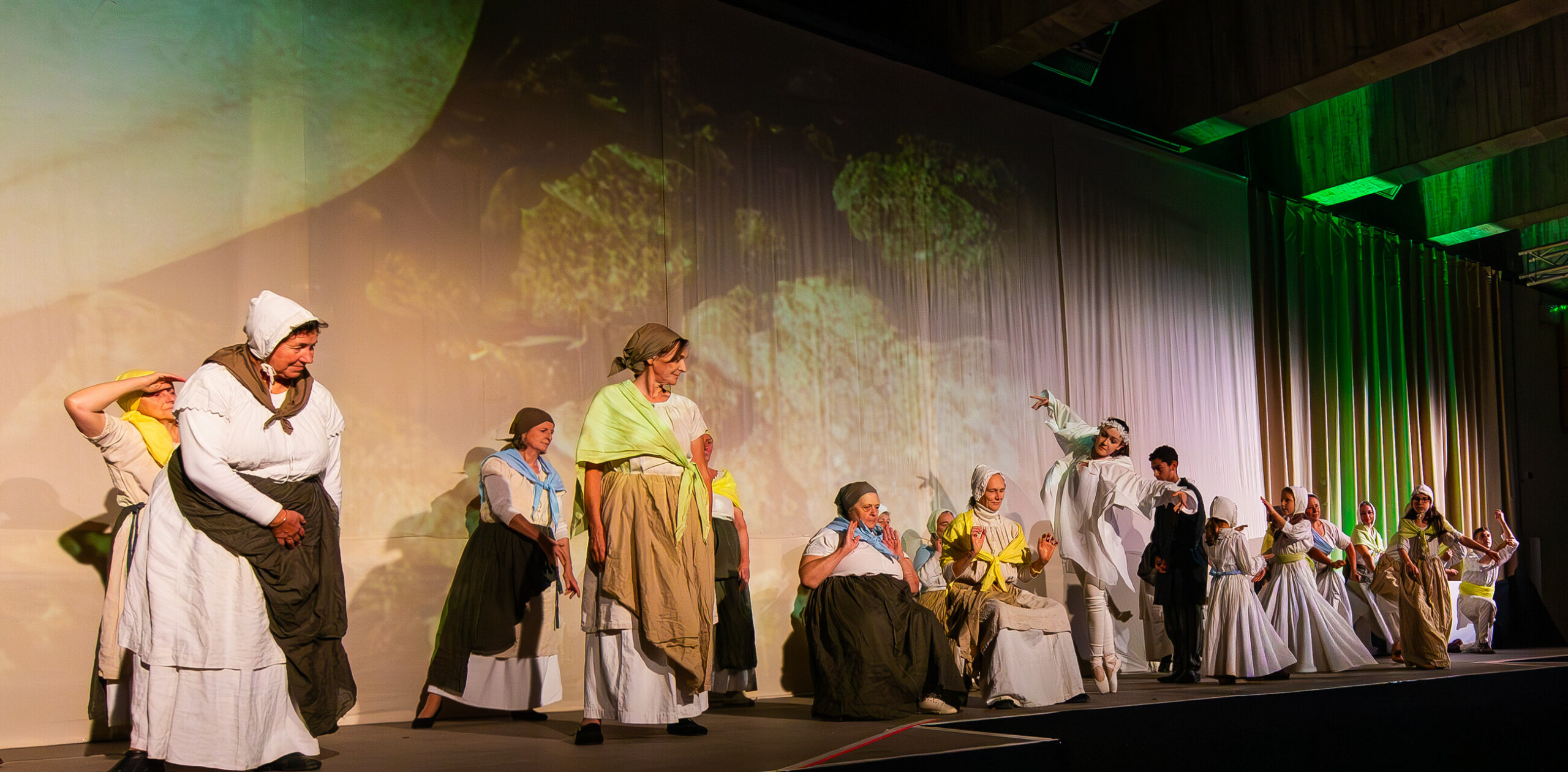 IMG 6534.png compressed